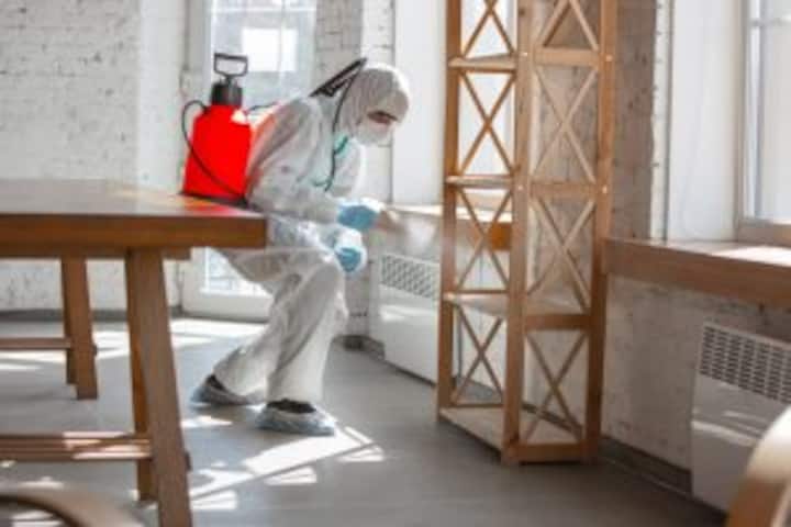 Mold Removal Services