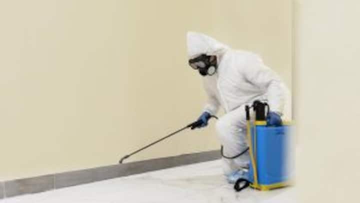 Mold Removal Services in lafayette