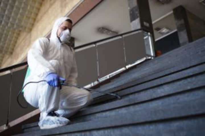 Mold Removal Services
